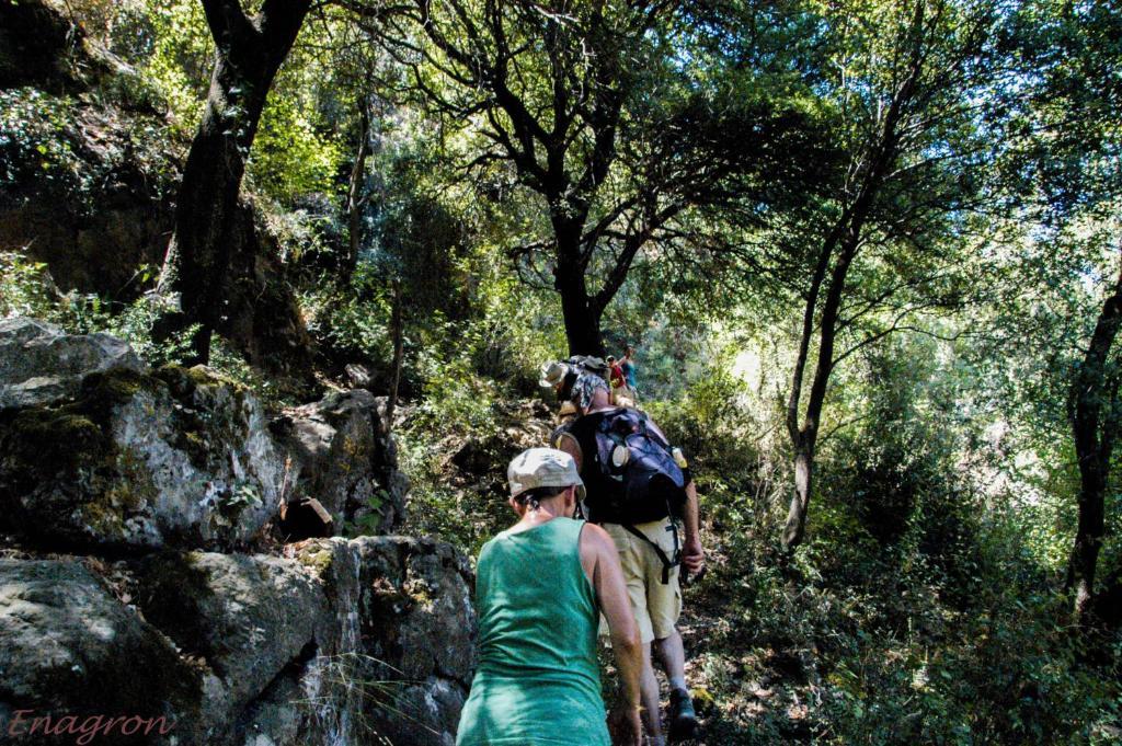 Enagron Ecotourism Village Axos ภายนอก รูปภาพ