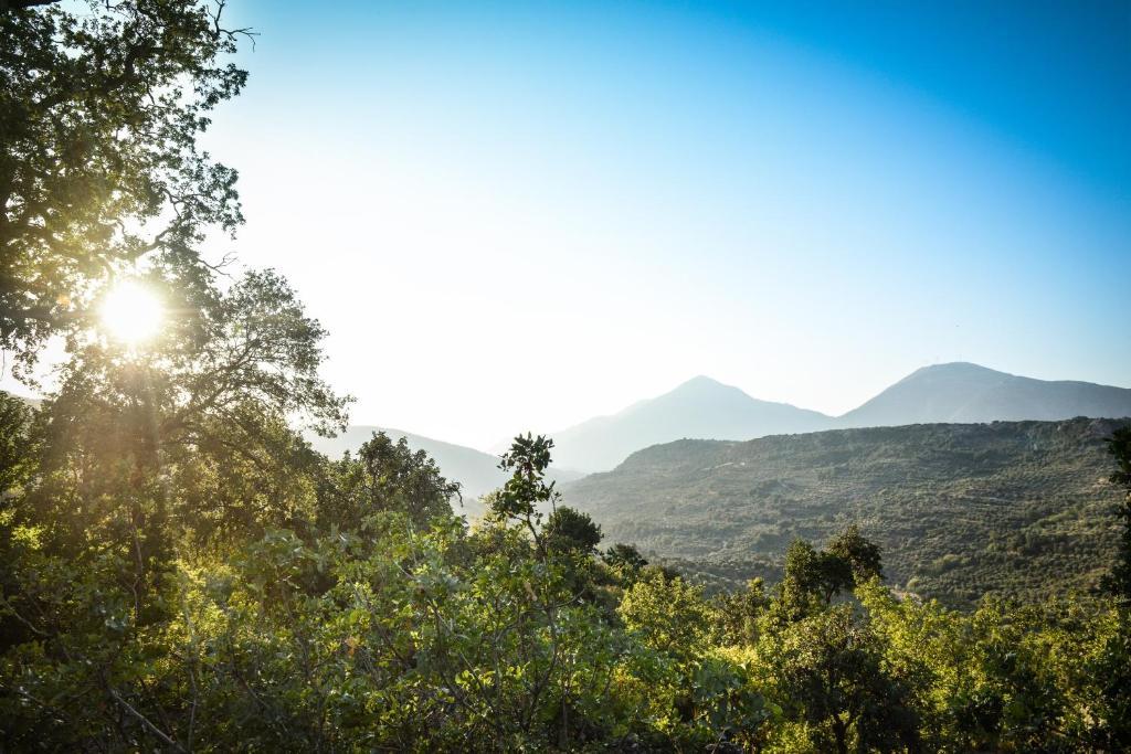 Enagron Ecotourism Village Axos ภายนอก รูปภาพ