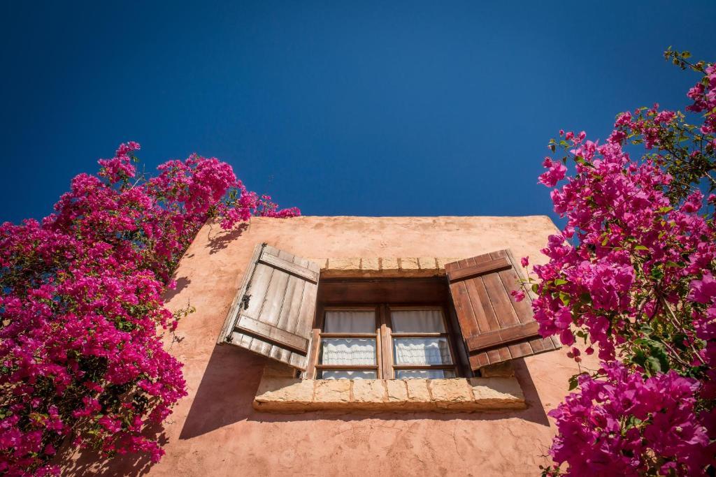 Enagron Ecotourism Village Axos ภายนอก รูปภาพ